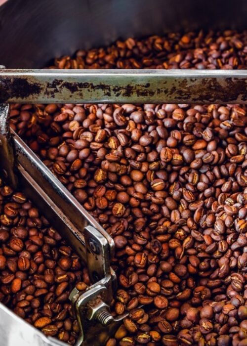 Gallery Samudra Guntur Tangguh 11 Gallery Samudra Guntur Tangguh 11