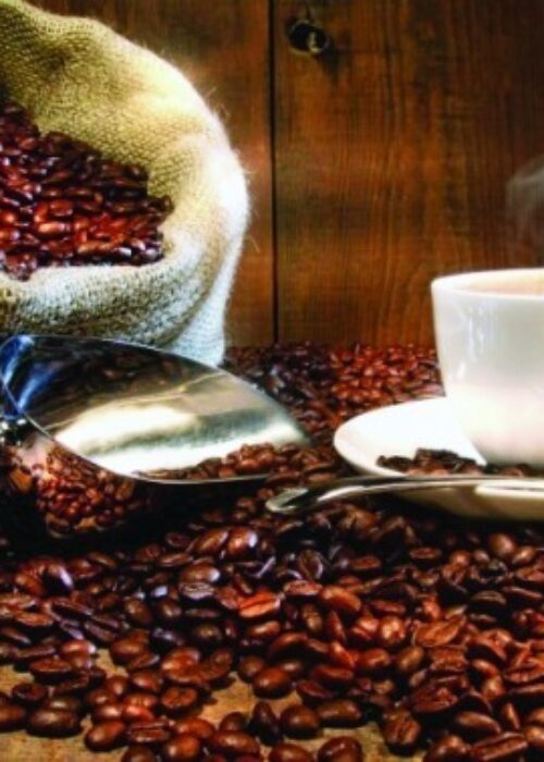 Gallery Samudra Guntur Tangguh 7 Gallery Samudra Guntur Tangguh 7