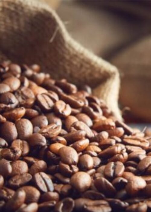 Gallery Samudra Guntur Tangguh 9 Gallery Samudra Guntur Tangguh 9