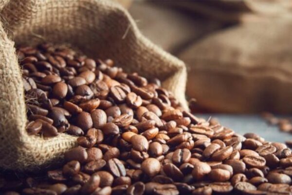 Gallery Samudra Guntur Tangguh 9